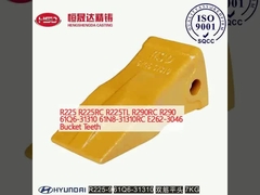 R225 R225RC R225TL R290RC R290 61Q6-31310 61N8-31310RC E262-3046 Gigi ember